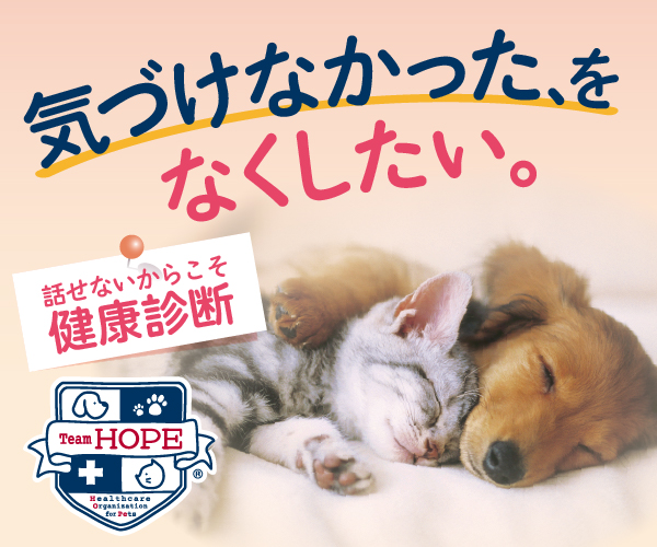 Team HOPE 共同啓発アクション 気づけなかった、をなくしたい。話せないからこそ健康診断